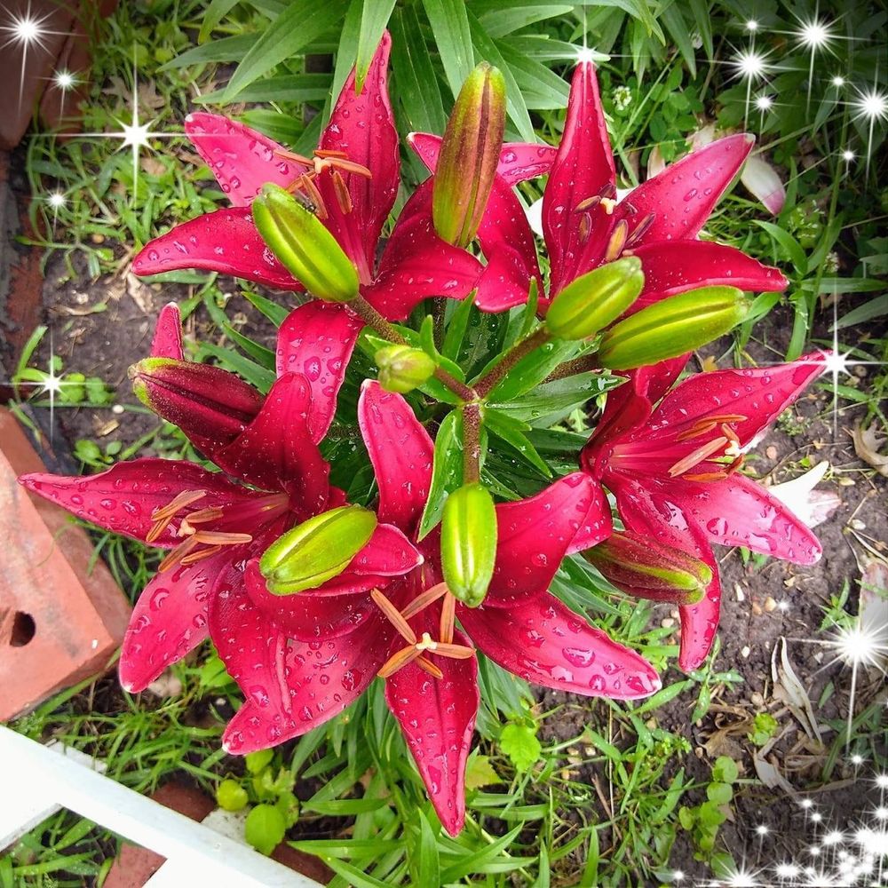 Meet your Posher, Patty